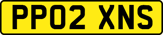 PP02XNS
