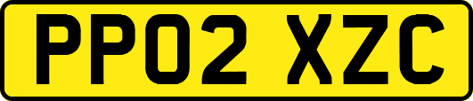 PP02XZC