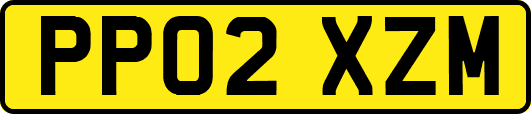 PP02XZM