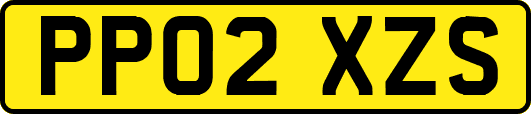 PP02XZS