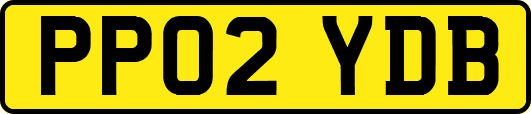 PP02YDB