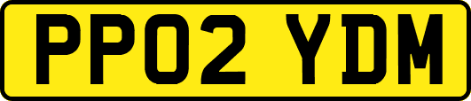 PP02YDM