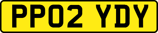 PP02YDY