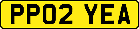 PP02YEA