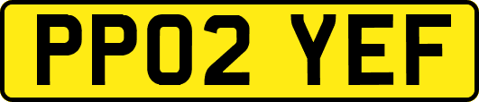 PP02YEF