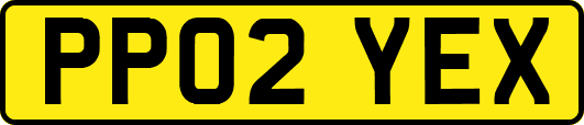 PP02YEX