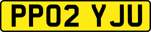 PP02YJU