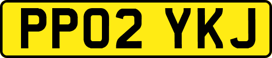 PP02YKJ
