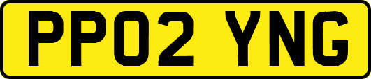 PP02YNG