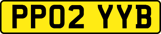 PP02YYB