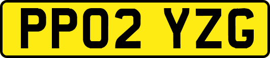 PP02YZG