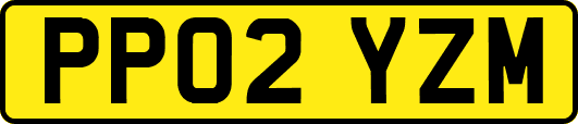 PP02YZM