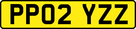 PP02YZZ