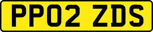 PP02ZDS
