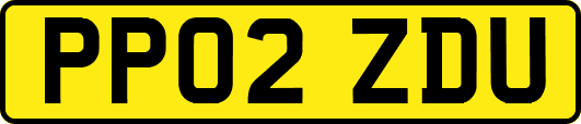 PP02ZDU