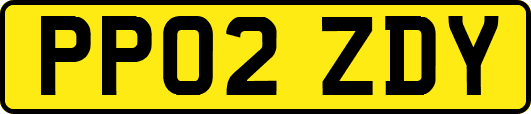 PP02ZDY
