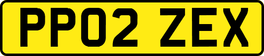 PP02ZEX