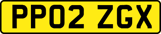 PP02ZGX