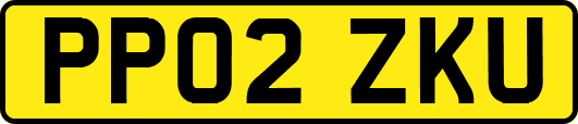 PP02ZKU