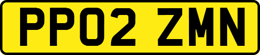 PP02ZMN