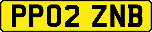 PP02ZNB