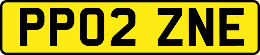 PP02ZNE