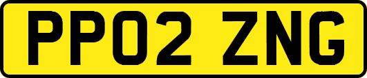 PP02ZNG