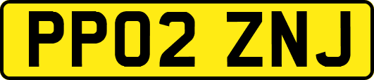 PP02ZNJ