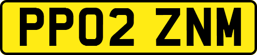 PP02ZNM