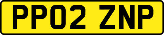 PP02ZNP