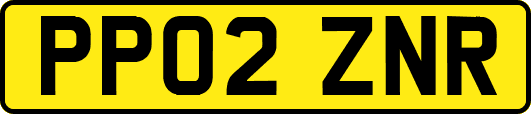 PP02ZNR