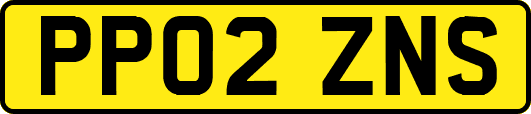PP02ZNS