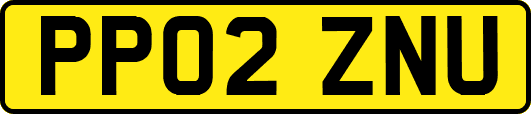 PP02ZNU
