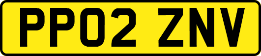 PP02ZNV