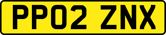 PP02ZNX