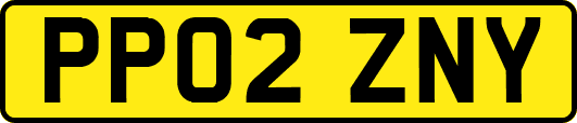 PP02ZNY