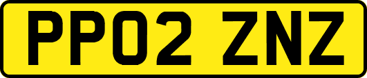 PP02ZNZ