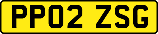 PP02ZSG