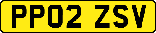 PP02ZSV