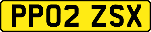 PP02ZSX