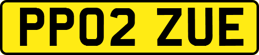 PP02ZUE