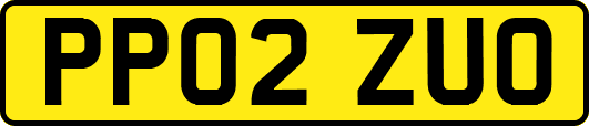 PP02ZUO