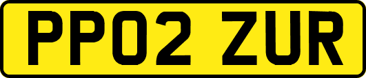 PP02ZUR