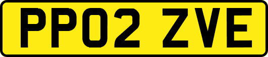 PP02ZVE