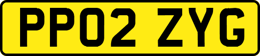 PP02ZYG