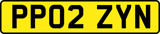 PP02ZYN