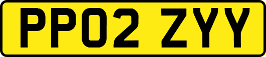 PP02ZYY