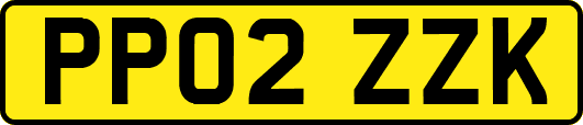 PP02ZZK
