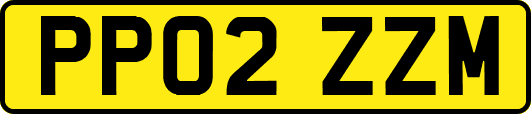 PP02ZZM
