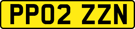 PP02ZZN